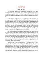 top 4 bai ta cay me 2022 hay nhat 