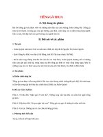 tieng ga trua tac gia tac pham ngu van lop 7 