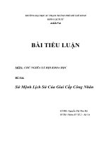 Tiểu luận sứ mệnh lịch sử của giai cấp công nhân 