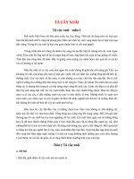 top 15 bai ta cay xoai 2022 hay nhat 