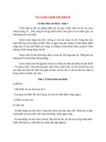 top 12 bai ta loai chim em thich hay nhat 