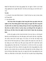 Phân biệt mô hình công nghiệp hóa rút ngắn cổ điển và mô hình công nghiệp hóa rút ngắn hiện đại, liên hệ sự vận dụng các mô hình này ở VN