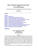 what-congress-and-gandhi-have-done