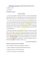 de thi giua hoc ki 2 lop 3 mon tieng viet nam 2021 2022 de 3 