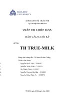 BÁO cáo CUỐI kỳ QUẢN TRỊ CHIẾN lược đề tài TH TRUE MILK 