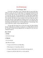 top 15 bai ta cay hoa gao 2022 hay nhat 