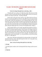 top 14 bai ta bac to truong to dan pho noi em sinh song 2022 hay nhat 