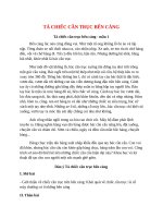 top 4 bai ta chiec can truc ben cang 2022 hay nhat 