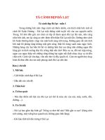 top 7 bai ta canh dep da lat 2022 hay nhat 