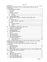 Tiểu luận phân tích môi trường kinh doanh của campuchia 