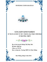 (SKKN HAY NHẤT) sử DỤNG sơ đồ tư DUY TRONG dạy học SINH học 