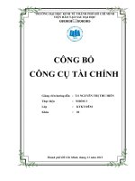 Tiểu luận kế toán công cụ tài chính một phân tích về các yếu tố quyết định công bố thông tin trong giao dịch chứng khoán ở bồ đào nha 