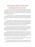 top 11 bai phan tich doan trich tuc nuoc vo bo 2022 hay nhat 