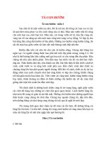 top 11 bai ta con buom 2022 hay nhat 