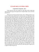 top 4 bai ta ngoi nha la o nong thon 2022 hay nhat 