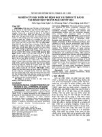 Nghiên cứu đặc điểm mô bệnh học u lympho tế bào B tại Bệnh viện Truyền máu Huyết học