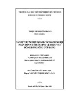 0897VẤN ĐỀ THƯƠNG HIỆU ĐỐI VỚI CÁC DOANH NGHIỆP PHÂN BÓN VÀ THUỐC BẢO VỆ THỰC VẬT ĐỒNG BẰNG SÔNG CỬU LONG