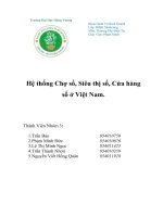 Tiểu luận thương mại điện tử đề tài hệ thống chợ số, siêu thị số, cửa hàng số ở việt nam 