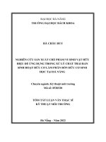 Nghiên cứu sản xuất chế phẩm vi sinh vật hữu hiệu để áp dụng trong xử lý chất thải rắn sinh hoạt hữu cơ làm phân bón hữu cơ sinh học tại đà nẵng (tt) 