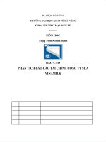 Phân tích báo cáo tài chính công ty sữa vinamilk 