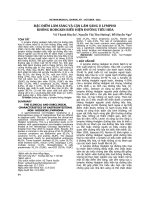 Đặc điểm lâm sàng và cận lâm sàng u lympho không Hodgkin biểu hiện đường tiêu hóa