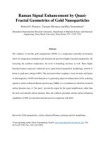raman-signal-enhancement-by-quasi-fractal-geometries-of-gold-nanoparticles