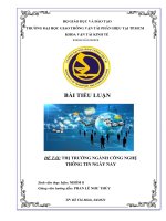 Tiểu luận file PDF in