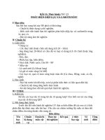 Bài 13 thực hành phát hiện diệp lục và carôtenôit môn sinh học lớp 11 đầy đủ chi tiết nhất 