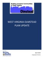 Olmstead Plan Update FINAL May 2020