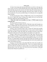 (Luận văn Đại học Thương mại) Phát triển chính sách sản phẩm của công ty TNHH Senudo trên thị trường Hà Nội