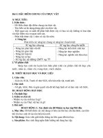 Bài 3 đặc điểm chung của thực vật môn sinh học lớp 6 đầy đủ chi tiết nhất 