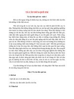 top 19 bai ta cay dua que em hay nhat 