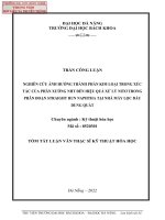 Nghiên cứu ảnh hưởng thành phần kim loại trong xúc tác của phân xưởng NHT đến hiệu quả xử lý nitơ trong phân đoạn straight run naphtha tại nhà máy lọc dầu dung quất (tt) 