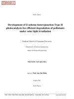 Development of z scheme heterojunction type II photocatalysts for efficient degradation of pollutants under solar light irradiation (tt) 