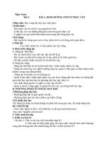 Bài 5 dinh dưỡng nitơ ở thực vật môn sinh học lớp 11 đầy đủ chi tiết nhất 