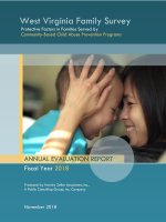 WV-Fam-Survey-Statewide-Report-2018-FINAL-120318