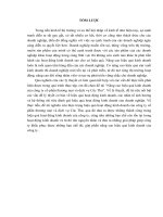 (Luận văn đại học thương mại) nâng cao hiệu quả kinh doanh của công ty cổ phần thƣơng mại và dịch vụ c c thƣ 