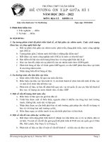 Đề cương ôn tập giữa học kì 1 môn địa lí lớp 11 trường THPT xuân đỉnh năm 2021   2022 