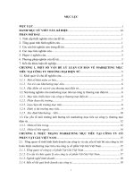 (Luận văn đại học thương mại) hoàn thiện marketing mục tiêu của công ty cổ phần vật giá việt nam 