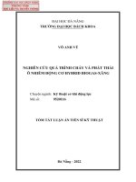 Nghiên cứu quá trình cháy và phát thải ô nhiễm động cơ hybrid biogas xăng (tt) 
