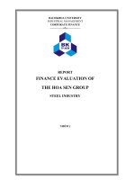Essay final report Corporate finance Báo cáo cuối kỳ môn TÀI CHÍNH DOANH NGHIỆP: ĐÁNH GIÁ TÌNH HÌNH TÀI CHÍNH TẬP ĐOÀN TÔN HOA SEN VÀ QUYẾT ĐỊNH ĐẦU TƯ CỔ PHIẾU