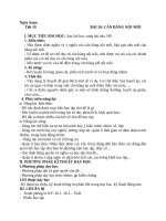 Bài 20 cân bằng nội môi môn sinh học lớp 11 đầy đủ chi tiết nhất 