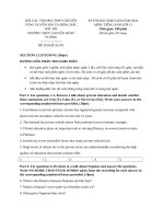 ĐỀ THI HỌC SINH GIỎI MÔN TIẾNG ANH LỚP 11 NĂM 2022 BẢN WORD 