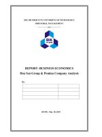 Báo cáo cuối kỳ môn Kinh tế học Kinh doanh Final report Business Economics Phân tích hệ thống quản trị của tập đoàn Hoa sen và Thép pomina