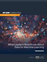 What leaders must know about data for machine learning