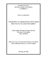 Ảnh hưởng của định hướng màng mỏng đến ứng xử của dầm tensairity (tt) 