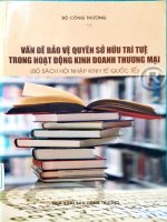Vấn đề bạo vệ quyền sở hữu trí tuệ trong hoạt động kinh doanh thương mại (bộ sách hội nhập kinh tế quốc tế) 