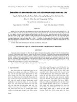 Ảnh hưởng của ánh sáng đến năng suất của cây dưa chuột trong nhà lưới