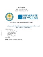 TIỂU LUẬN môn MARKETING căn bản đề bài  PHÂN TÍCH môi TRƯỜNG KINH DOANH của CÔNG TY cổ PHẦN sữa VIỆT NAM VINAMILK 