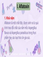 Aflatoxin aflatoxin là một chất độc, được sinh ra từ quá trình trao đổi chất của nấm mốc aspergillus 